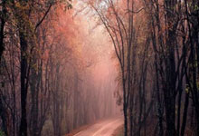 柏林赫塔客场小胜，积分榜逐渐攀升