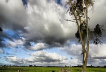 柏林赫塔客场小胜，积分榜逐渐攀升