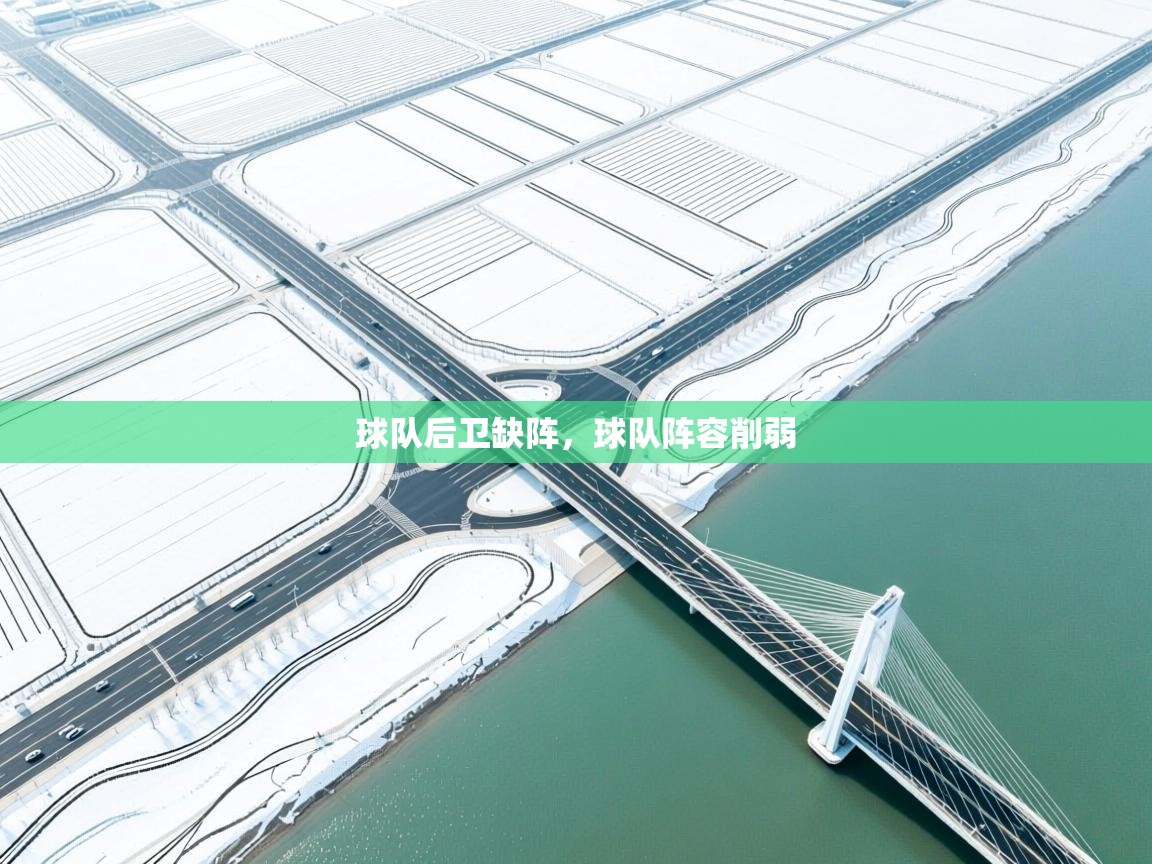 球队后卫缺阵，球队阵容削弱  第2张