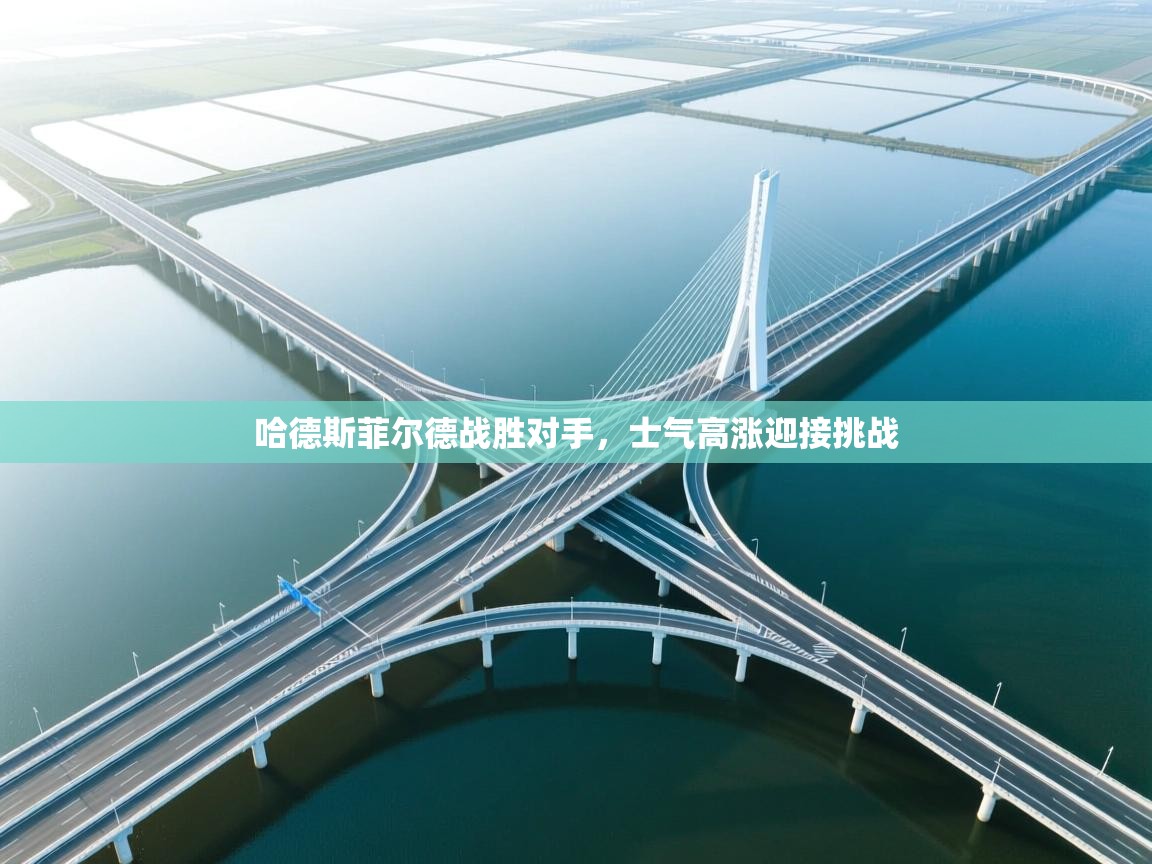 哈德斯菲尔德战胜对手，士气高涨迎接挑战  第1张