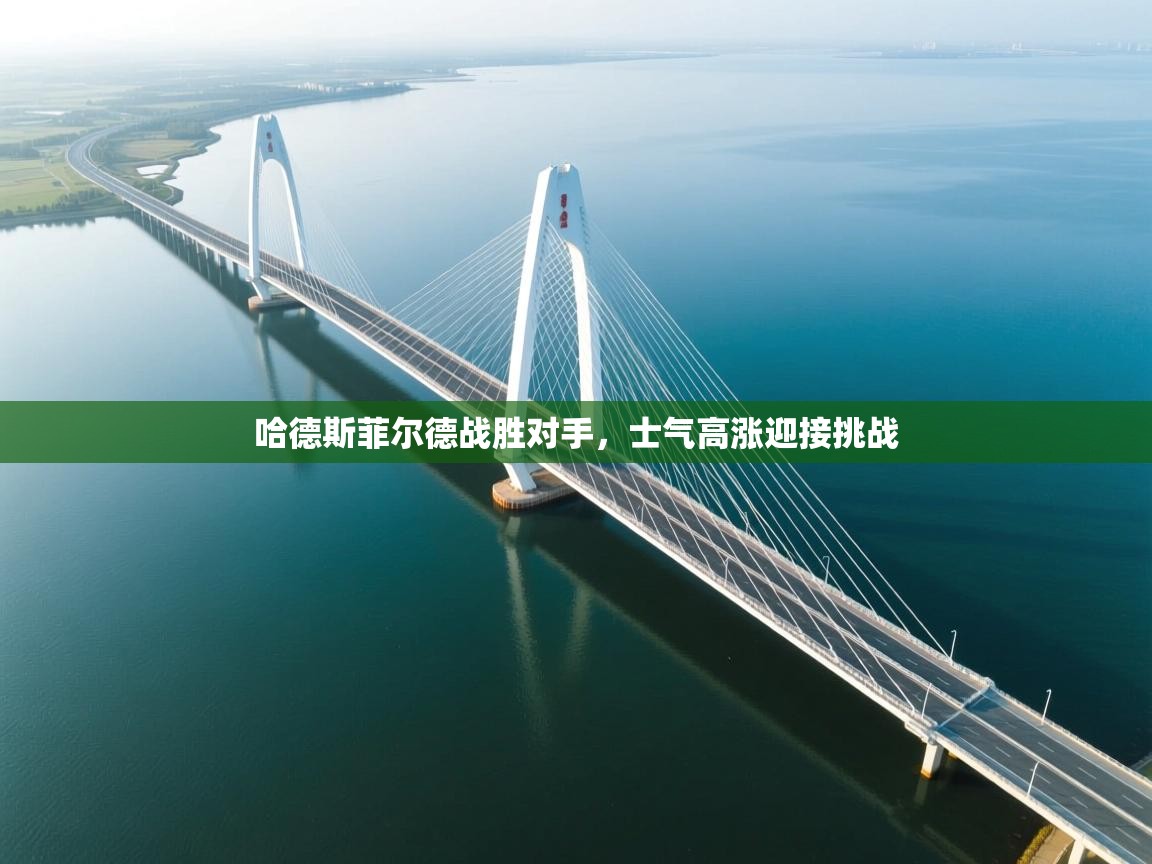 哈德斯菲尔德战胜对手，士气高涨迎接挑战  第2张